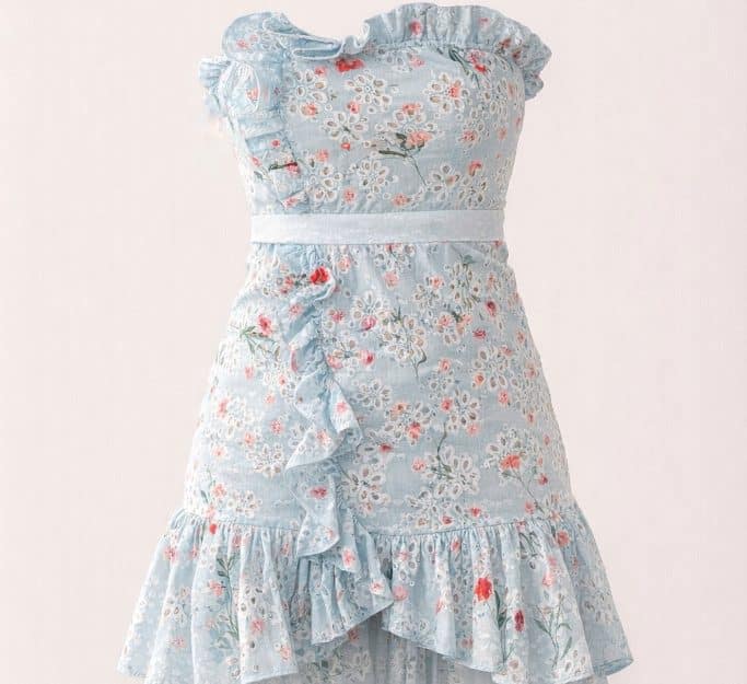 Dress Image