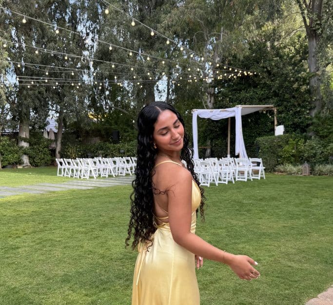 Dress Image