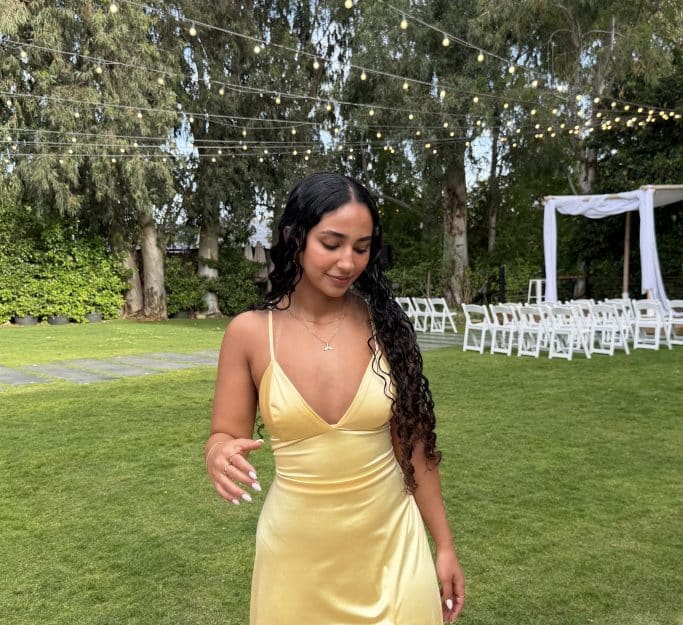 Dress Image