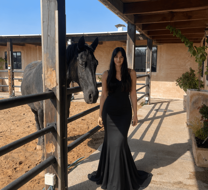 Dress Image